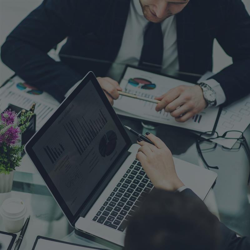 Website Designer