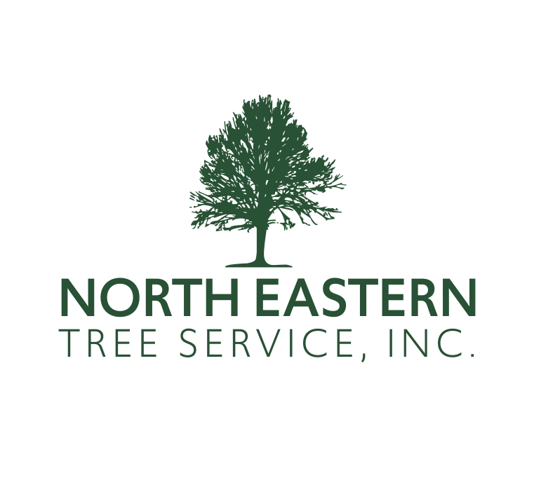 North-Eastern Tree Service Custom Logo